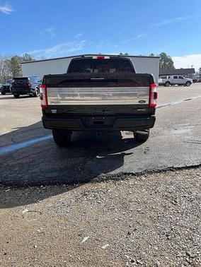 2021 Ford F-150 Platinum