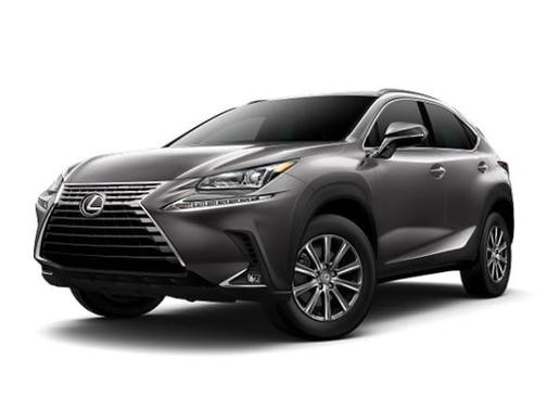 Nebula Gray Pearl 2020 Lexus NX 300 Base