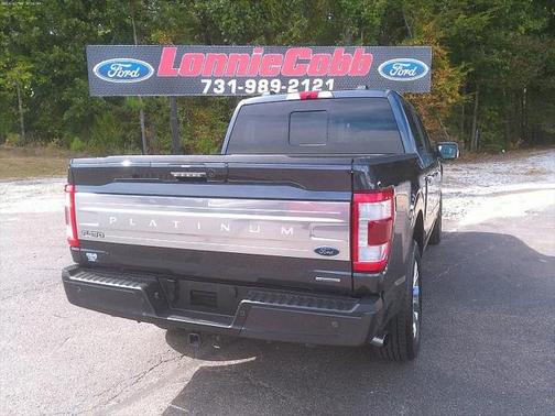 2021 Ford F-150 Platinum