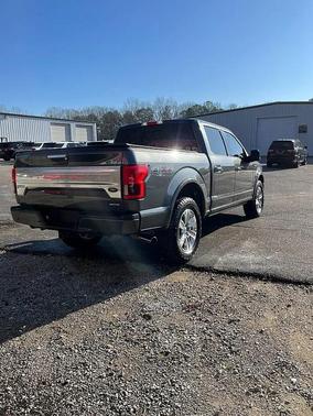 2019 Ford F-150 Platinum