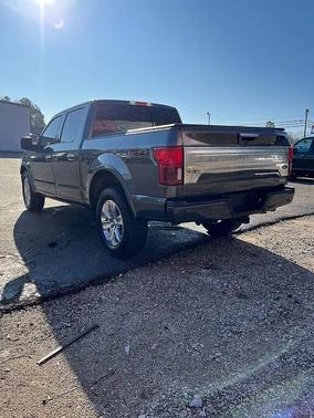 2019 Ford F-150 Platinum