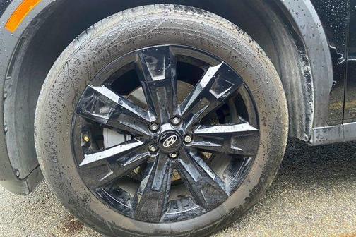 Abyss Black Pearl 2025 Hyundai PALISADE XRT
