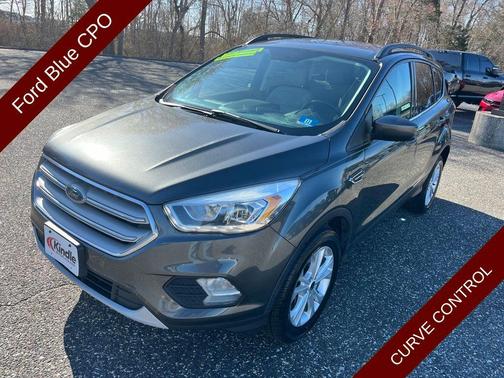 Magnetic 2018 Ford Escape SEL