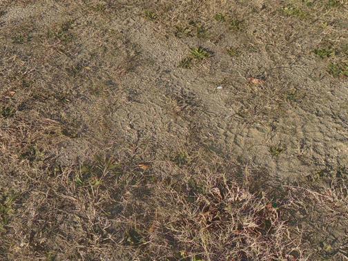 2019 Cadillac CTS 3.6L Luxury