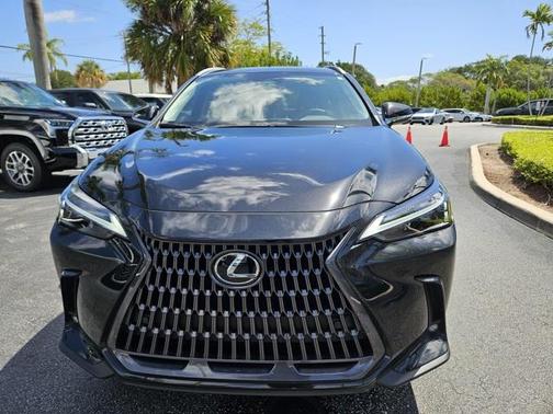 2025 Lexus NX 250 Premium