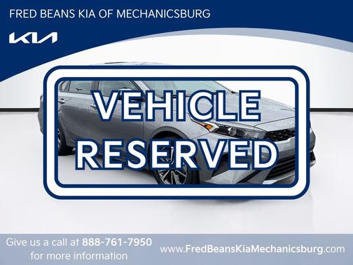 Steel Gray 2023 Kia Forte LXS