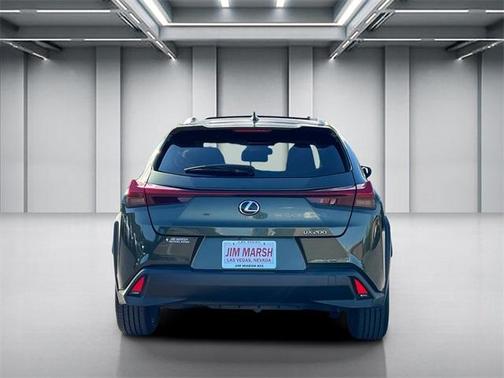 2019 Lexus UX 200 