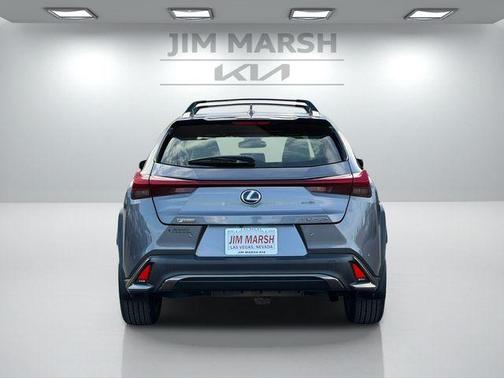 2021 Lexus UX 250h F Sport