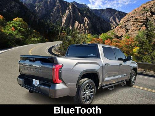 2023 Toyota Tundra Platinum