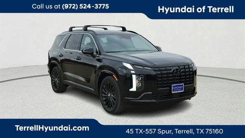 2025 Hyundai PALISADE Calligraphy Night Edition