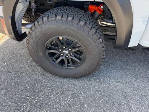 Avalanche 2024 Ford F-150 Raptor