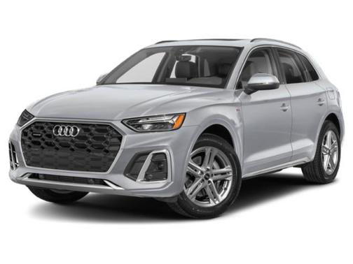 Florett Silver Metallic 2024 Audi Q5 55 S line Premium Plus
