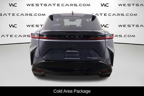 Cloudburst Gray 2024 Lexus RZ 450e Premium