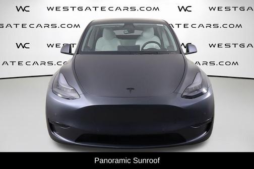 Gray 2020 Tesla Model Y Performance Dual Motor All-Wheel Drive