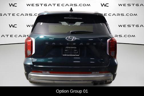 Robust Emerald 2025 Hyundai PALISADE Calligraphy