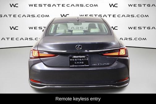 Cloudburst Gray 2023 Lexus ES 250 Base
