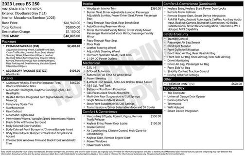 Cloudburst Gray 2023 Lexus ES 250 250