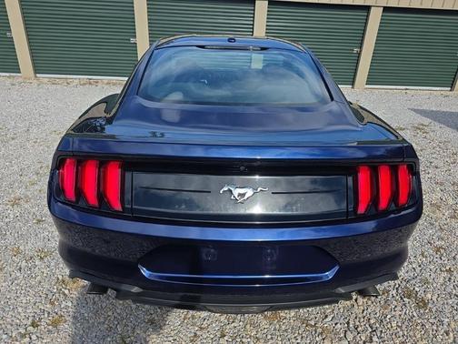2019 Ford Mustang EcoBoost