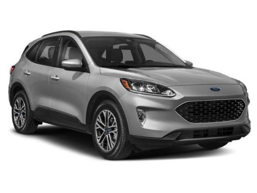 Oxford White 2020 Ford Escape SEL