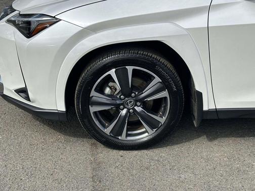2025 Lexus UX 300h 
