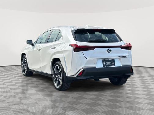 2025 Lexus UX 300h 