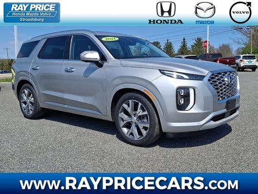 Typhoon Silver 2021 Hyundai PALISADE Limited