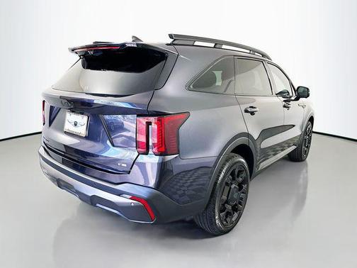 Panthera Metal 2025 Kia Sorento SX