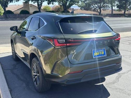 Nori Green Pearl 2022 Lexus NX 250 Base