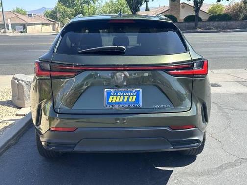 Nori Green Pearl 2022 Lexus NX 250 Base
