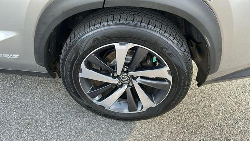 2019 Lexus NX 300h Base