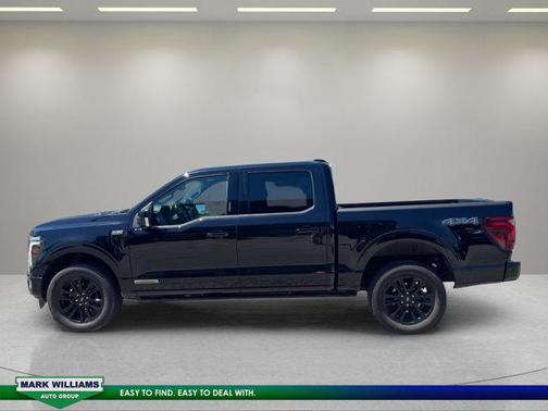 Black 2024 Ford F-150 Platinum