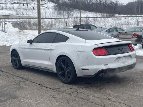 2023 Ford Mustang EcoBoost