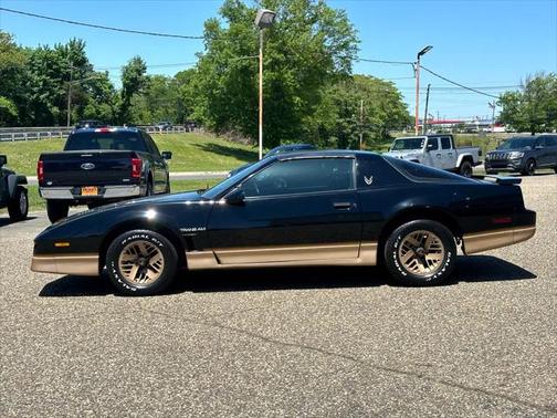 1985 Pontiac Firebird 2dr Hatchback Trans Am