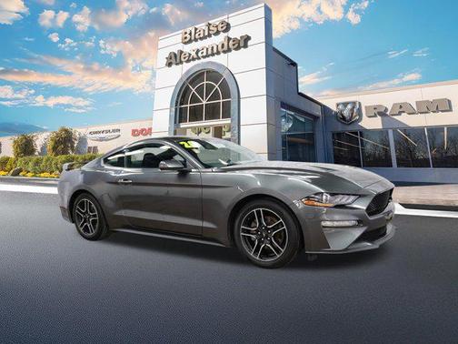 Magnetic Metallic 2020 Ford Mustang EcoBoost