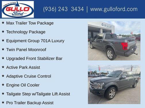 2019 Ford F-150 Platinum