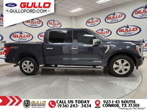 2021 Ford F-150 Platinum