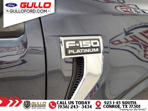 2021 Ford F-150 Platinum