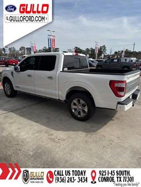 2022 Ford F-150 PLATINUM