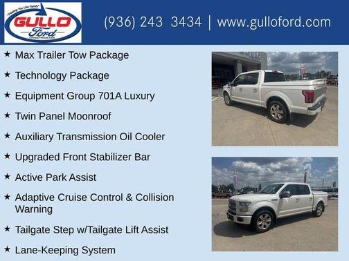 2015 Ford F-150 Platinum