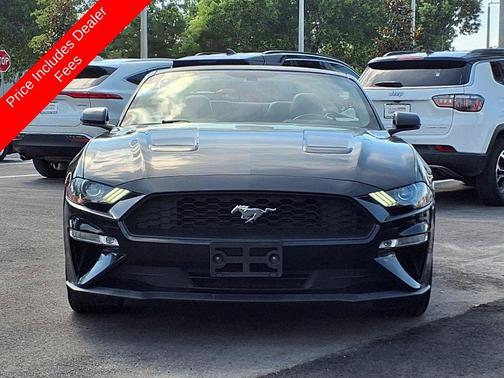 Shadow Black 2019 Ford Mustang EcoBoost Premium