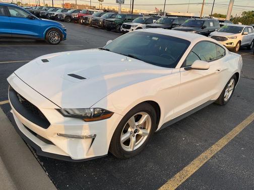 Oxford White 2019 Ford Mustang EcoBoost