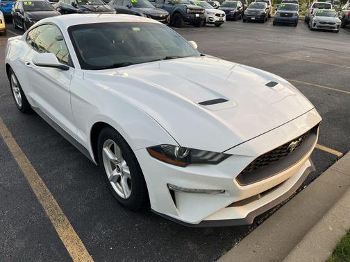 Oxford White 2019 Ford Mustang EcoBoost
