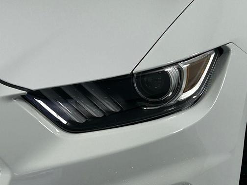 Oxford White 2019 Ford Shelby GT350R Base