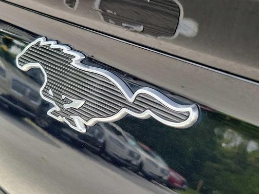 Shadow Black 2023 Ford Mustang Mach-E California Route 1