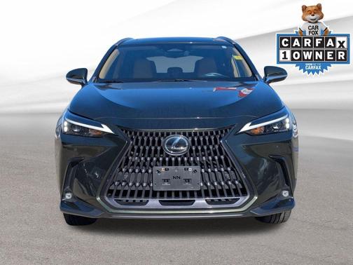 2023 Lexus NX 350 Premium