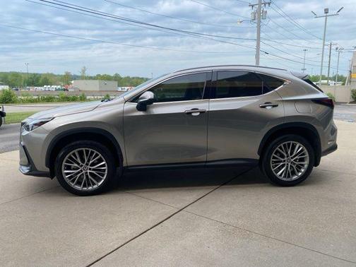 2023 Lexus NX 350h Premium