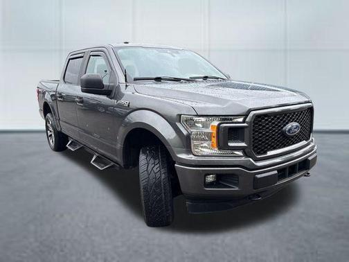 Magnetic 2019 Ford F-150 XL