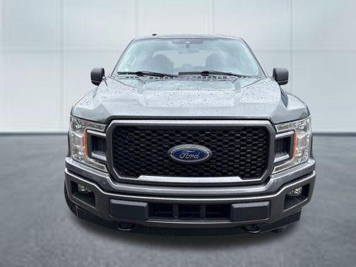 Magnetic 2019 Ford F-150 XL