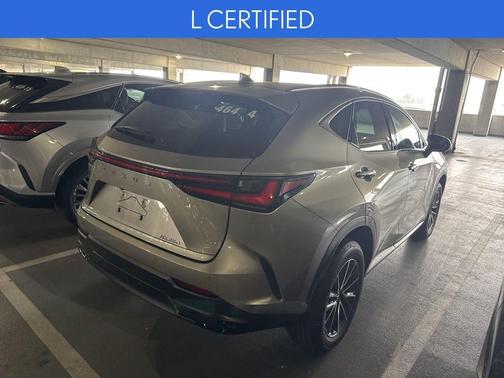 2025 Lexus NX 250 Base