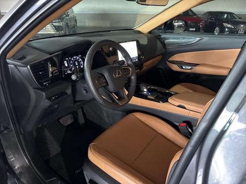 2025 Lexus NX 250 Premium
